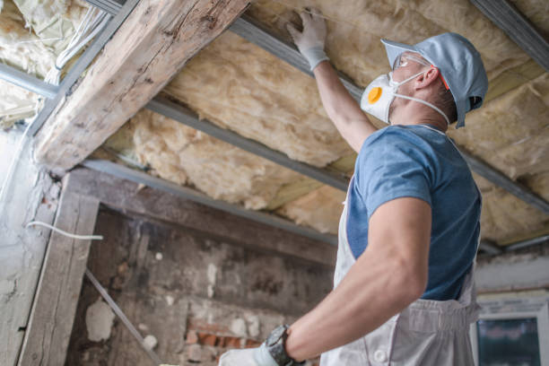 Best Insulation Maintenance and Repair in Helemano, HI