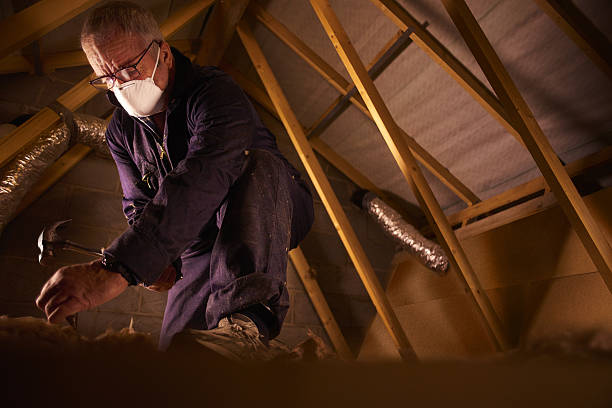 Best Fiberglass Insulation in Helemano, HI